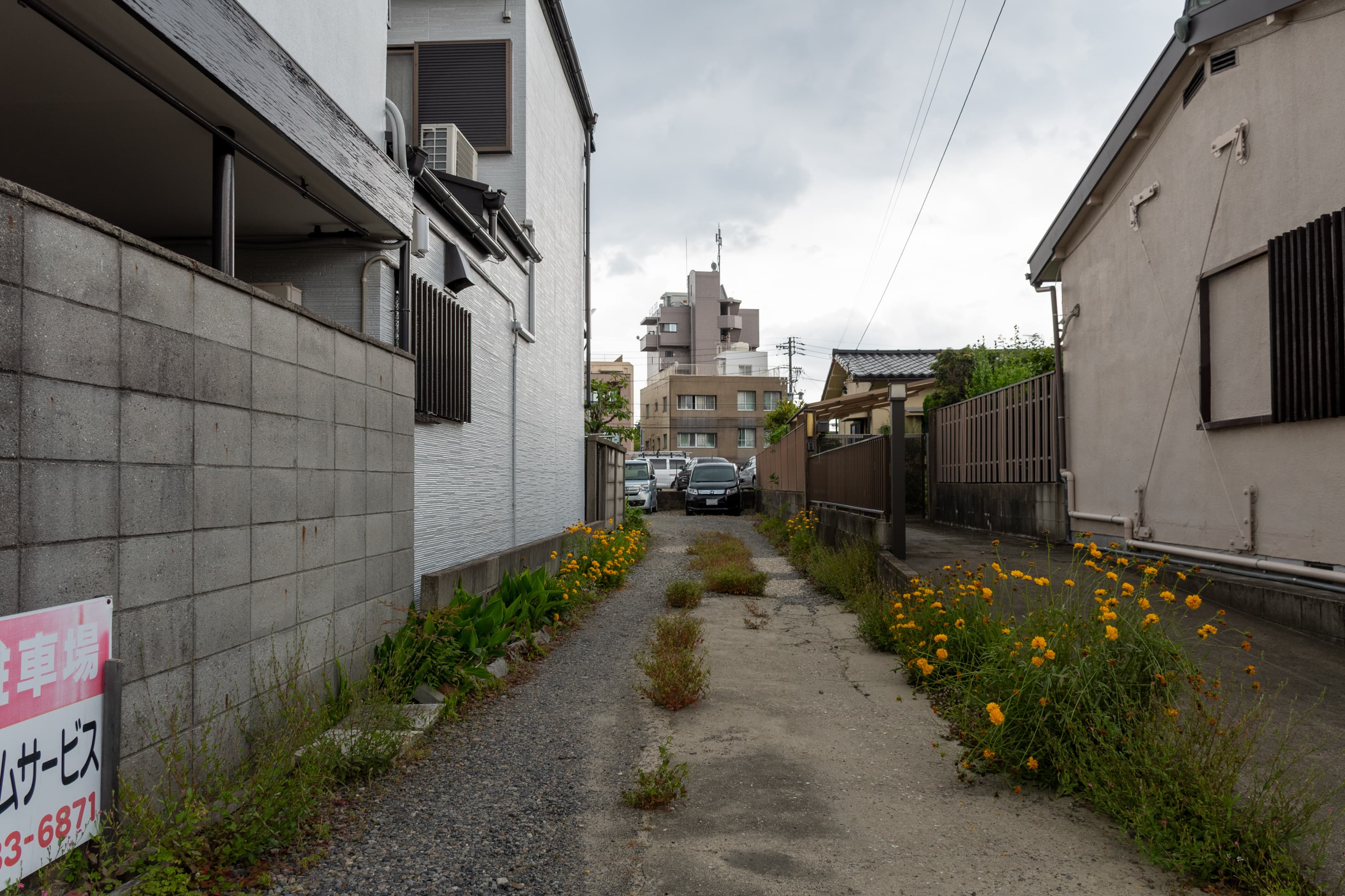 dsc_5252.jpg
